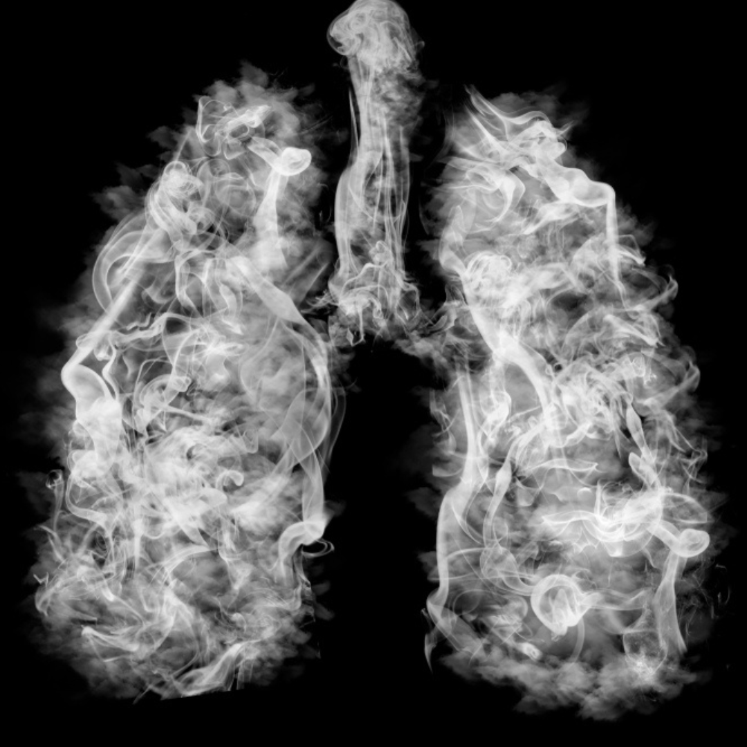 Izdelek brez naslova